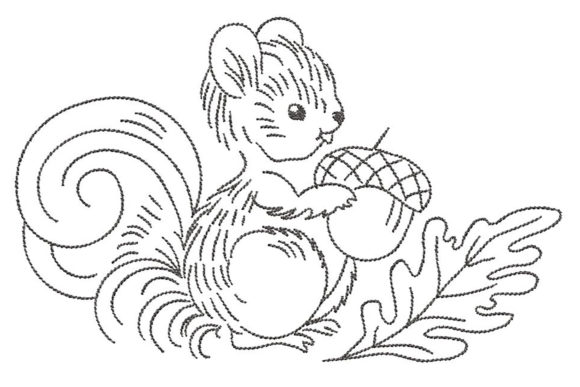 A Closer Look at the Squirrel Simplistic Lines Design