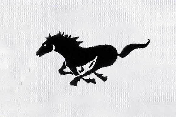 Black Horse Design: A Boutique Embroidery Evaluation